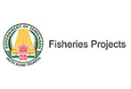 Fishries Project