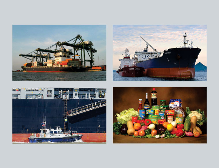 Shipping Agency Services in India - SHM Group